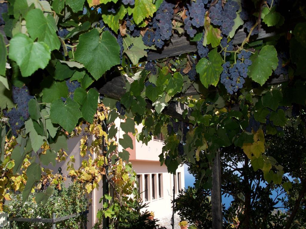 Villa Aglaini Agios Dimitrios  Ngoại thất bức ảnh